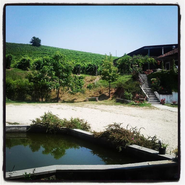 Gran Collina Villa San Damiano d'Asti Bagian luar foto